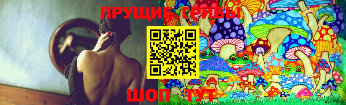 Галлюциногенные грибы мухоморы Осинники